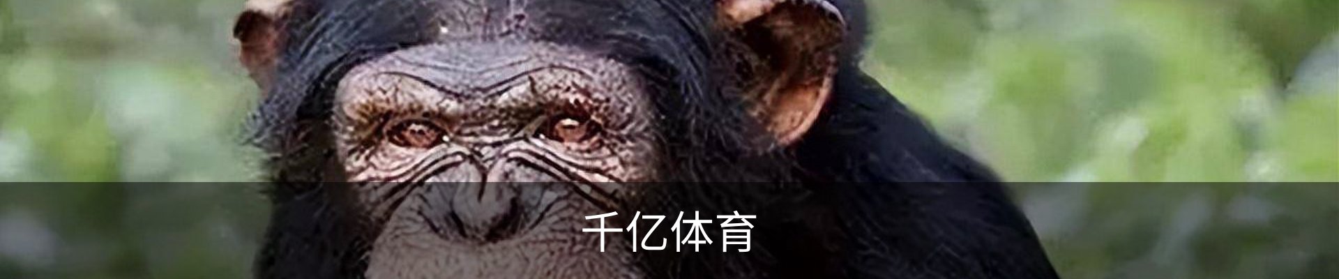 千亿体育.(国际)官方网站-QIANYI SPORTS